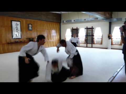 Aikido - Gerald Shervey - Shodan Test Randori