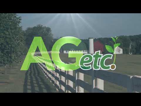 AGetc - Mandy Carr - Johnson Beef Price Market Share - June 27, 2019