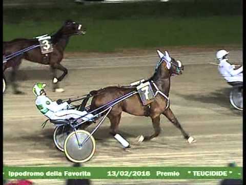 7° CORSA  del 13 FEBBRAIO 2016