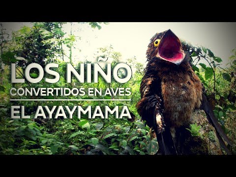 download lagu mp3 mp4 Ayaymama, download lagu Ayaymama gratis, unduh video klip Ayaymama