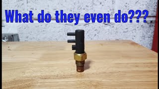 More Then You Ever Wanted To Know About Thermal Vacuum Switches