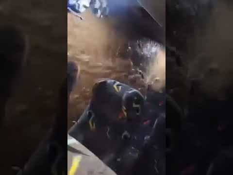 Cae en el río Tunico Star Bus FDN en el Estor Izabal, salió a media noche hacia la capital Guatemala