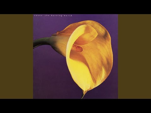 God Damn the Sun - Swans