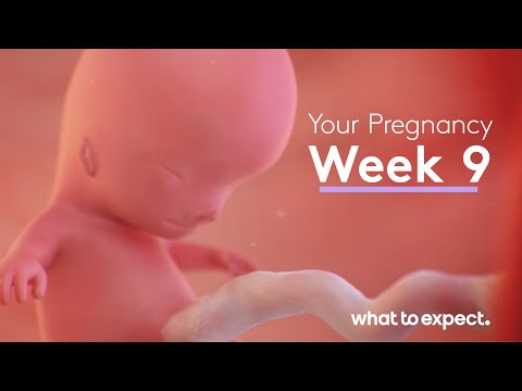 Mother-Baby developments this week (Week 9)