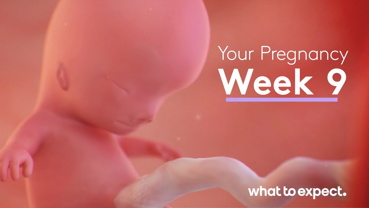 9 Weeks Pregnant - What to Expect - YouTube