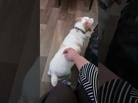 User submitted video