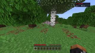 マイクラやる！！