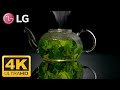 LG 4K DEMO HDR 2018 (60FPS) OLED PERPECT BLACK LG 4K DEMO HDR 2018 (60FPS) OLED PERPECT BLACK