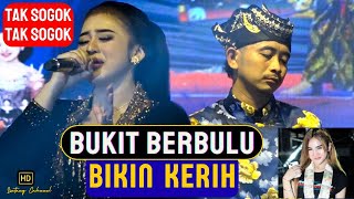 Download lagu TAK SOGOK JOSS JISS !! Bukit berbulu bikin Niken Salindry jadi kerih mp3 Download lagu TAK SOGOK JOSS JISS !! Bukit berbulu bikin Niken Salindry jadi kerih mp3
