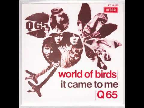 Q65 World of Birds