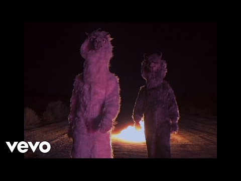 Fall Out Boy - The Last Of The Real Ones