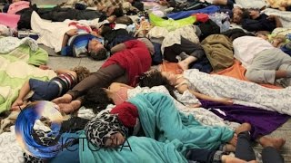Migrant crisis: The Facts - BBC News