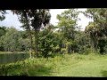 Silver Springs State Park Walk Through