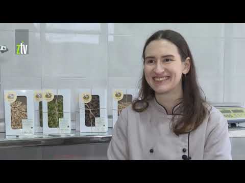 Miličino “Lastino gnezdo”: Testenina od prirodnih sastojaka