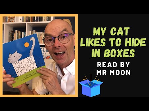 My Cat Likes to Hide in Boxes. Stories for children at home.