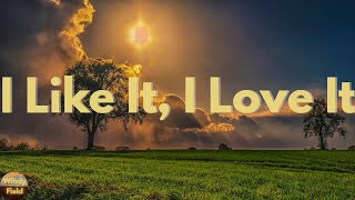 Tim McGraw - I Like It, I Love It (Lyrics)