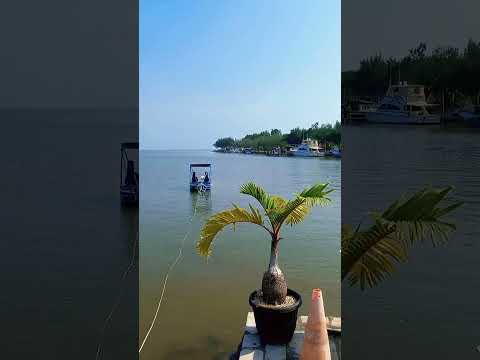 pantai awan costa semarang #pantai #semarang #fypシ゚viral