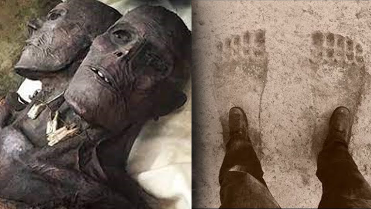 RESTI UMANI CHE GLI SCIENZIATI NON SANNO SPIEGARE