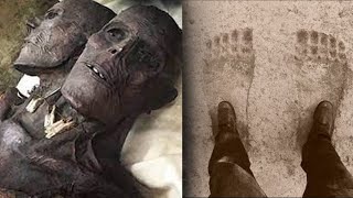 RESTI UMANI CHE GLI SCIENZIATI NON SANNO SPIEGARE