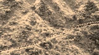 Millionen - Millions - XTC Cover