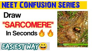 How To Draw SARCOMERE In Seconds🔥🔥| All Confusion Clear✌️| Neet Confusion Series😎| Neet 2021