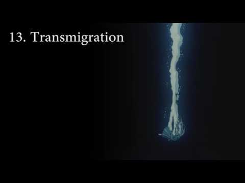 afbeelding Angel's Egg