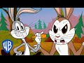 Looney Tunes | Is Bugs Bunny a Real Rabbit? 🐇| WB Kids