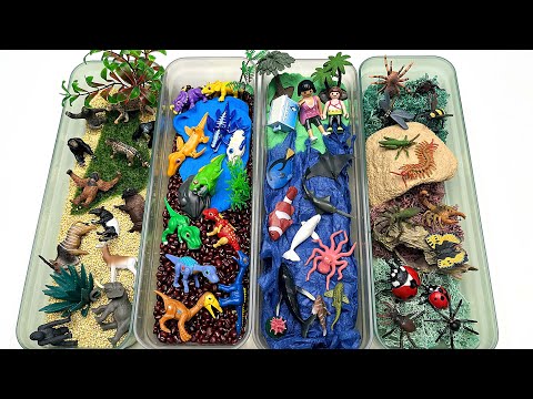 4 Type Small World Diorama for animals | jungle safari Africa ocean dinosaur world -kids craft