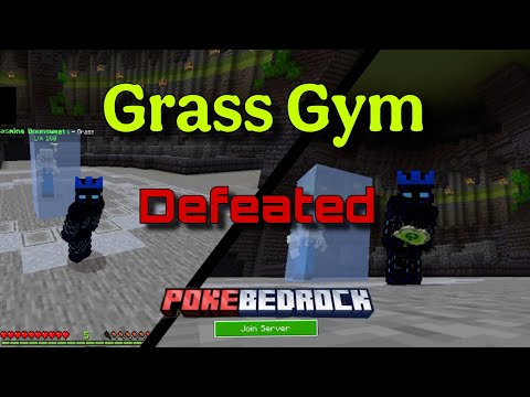 We Defeat Grass Gym | Pokebedrock 