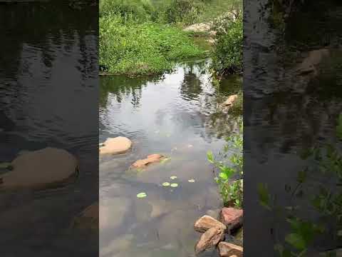 São João  das fronteiras Piauí