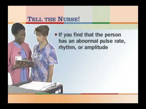 VITAL SIGNS HEIGHT AND WEIGHT-Title2