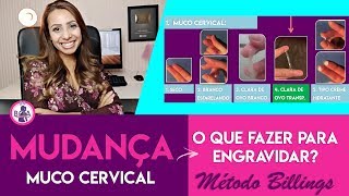 O QUE DEVO FAZER PARA ENGRAVIDAR? Aprenda o Método Billings | Patrícia Moreira - Boa Gravidez