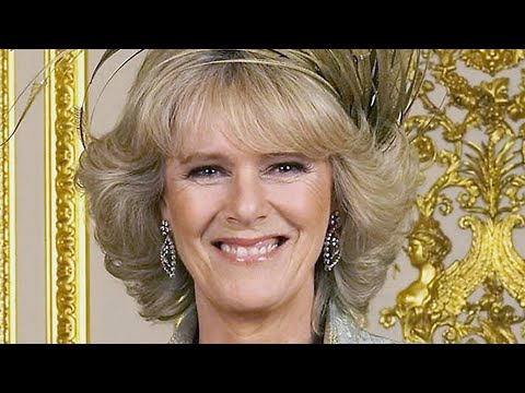 Queen Camilla's Role In The Royal Family Feud Is Causing A Stir