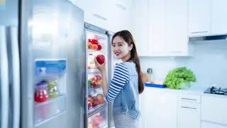 WR30X10093 Ice Maker Assembly Replacement by Gattaidar