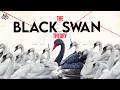 Dhaka S Great Disaster Black Swan Theory Explained Earthquake Risk Search Of Mystery