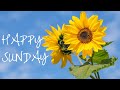 HAPPY SUNDAY STATUS WHATSAPP STATUS VIDEO HAPPY SUNDAY MESSAGE