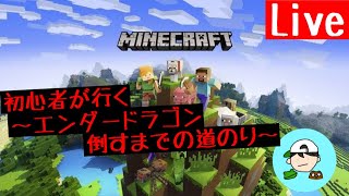 「エンダードラゴン倒すまでの道のり」アイテム集め編