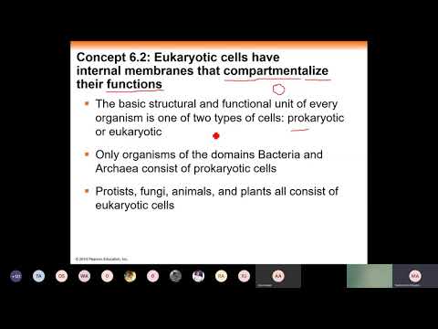 02 Cell Structure and function Part 1