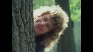 YES - Everydays