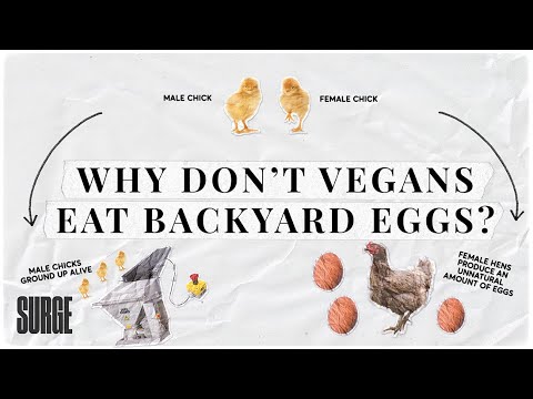Why don't vegans eat backyard eggs?