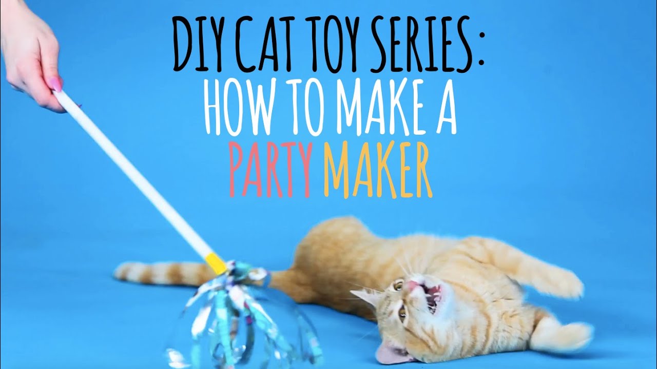 juguetes DIY para gatos que puedes hacer
