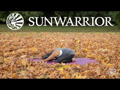 Half Moon Yoga Pose | Zain Saraswati Jamal