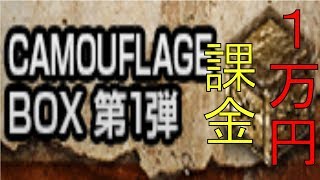 【AVA】カモフラージュBOXぶん回すぜ