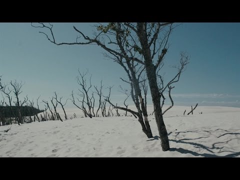 Kensee - Lemons (Official Video)