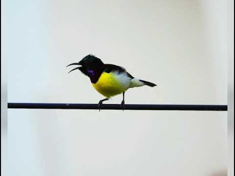 World photography day 2020, Akhilesh photography