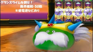 【星ドラ】グランスライムを倒せ！限界挑戦・50階 自前の槍なし