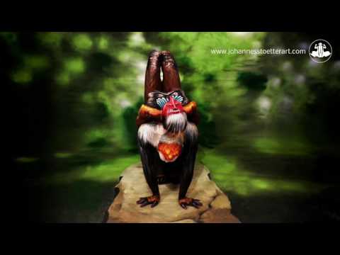 The Mandrill Bodypainting Illusion by Johannes Stoetter