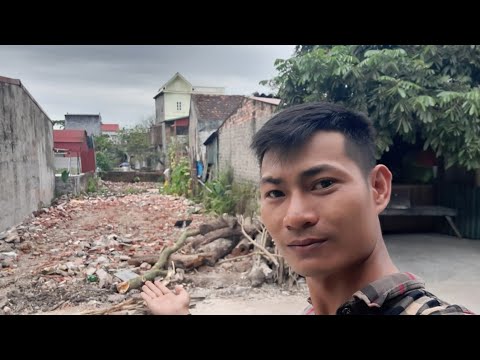 BÁN ĐẤT XÃ QUANG HƯNG AN LÃO HẢI PHÒNG MẶT ĐƯỜNG KINH DOANH GIÁ 12.3TR/M2