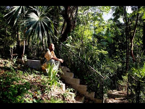 Rebel Layonn - "Lanmou Djaye" (Official Music Video)