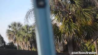 preview picture of video 'Vacation Vlog - We're At Busch Gardens! (3-15-15)'